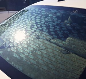 Tanda Tinted Kereta Rosak